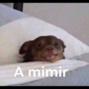 Meet your Posher, Katherine